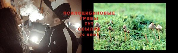 амф Гусиноозёрск