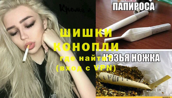 амф Гусиноозёрск