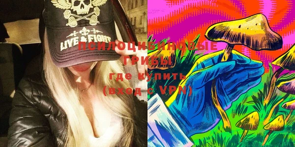 бутират Гусь-Хрустальный