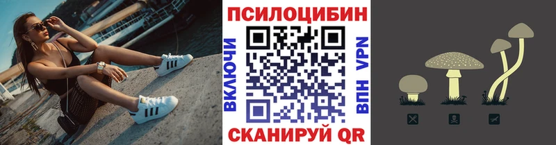 mega ССЫЛКА  купить закладку  Кадников  Псилоцибиновые грибы Psilocybine cubensis 